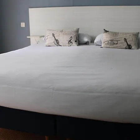 迪娜努瓦尔穆捷酒店 3*