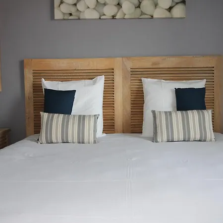 酒店 迪娜努瓦尔穆捷酒店